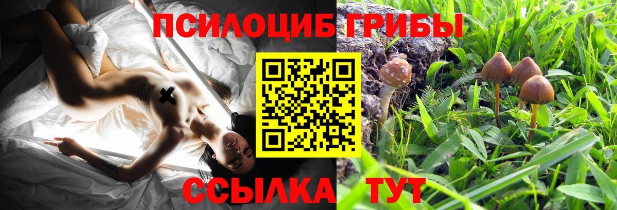 Псилоцибиновые грибы ЛСД Кубинка